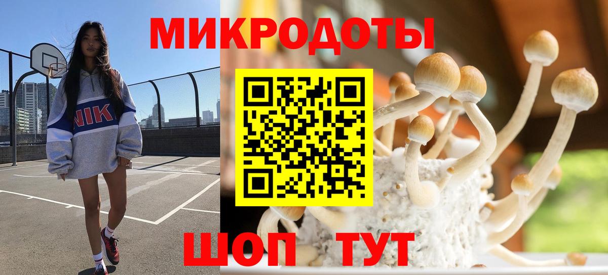Галлюциногенные грибы прущие грибы Тамбов