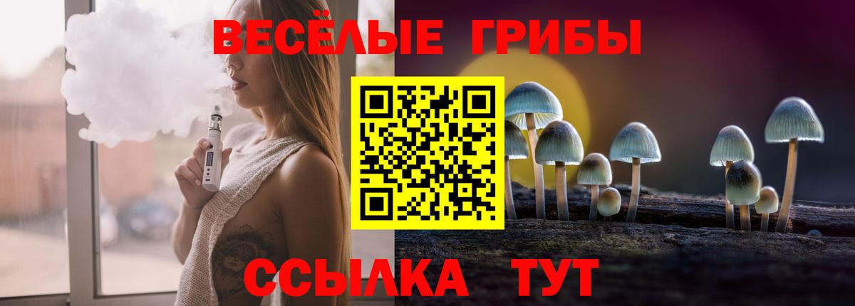 Тамбов  Псилоцибиновые грибы MAGIC MUSHROOMS  Вход с VPN 